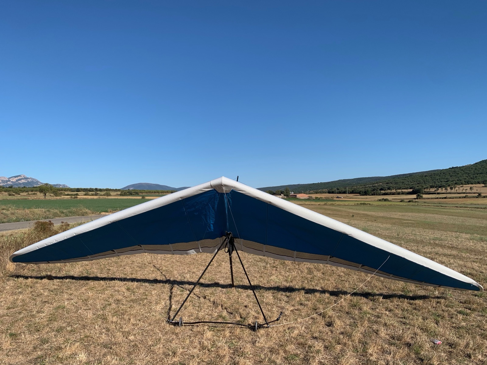 Front-on view, blue undersurface