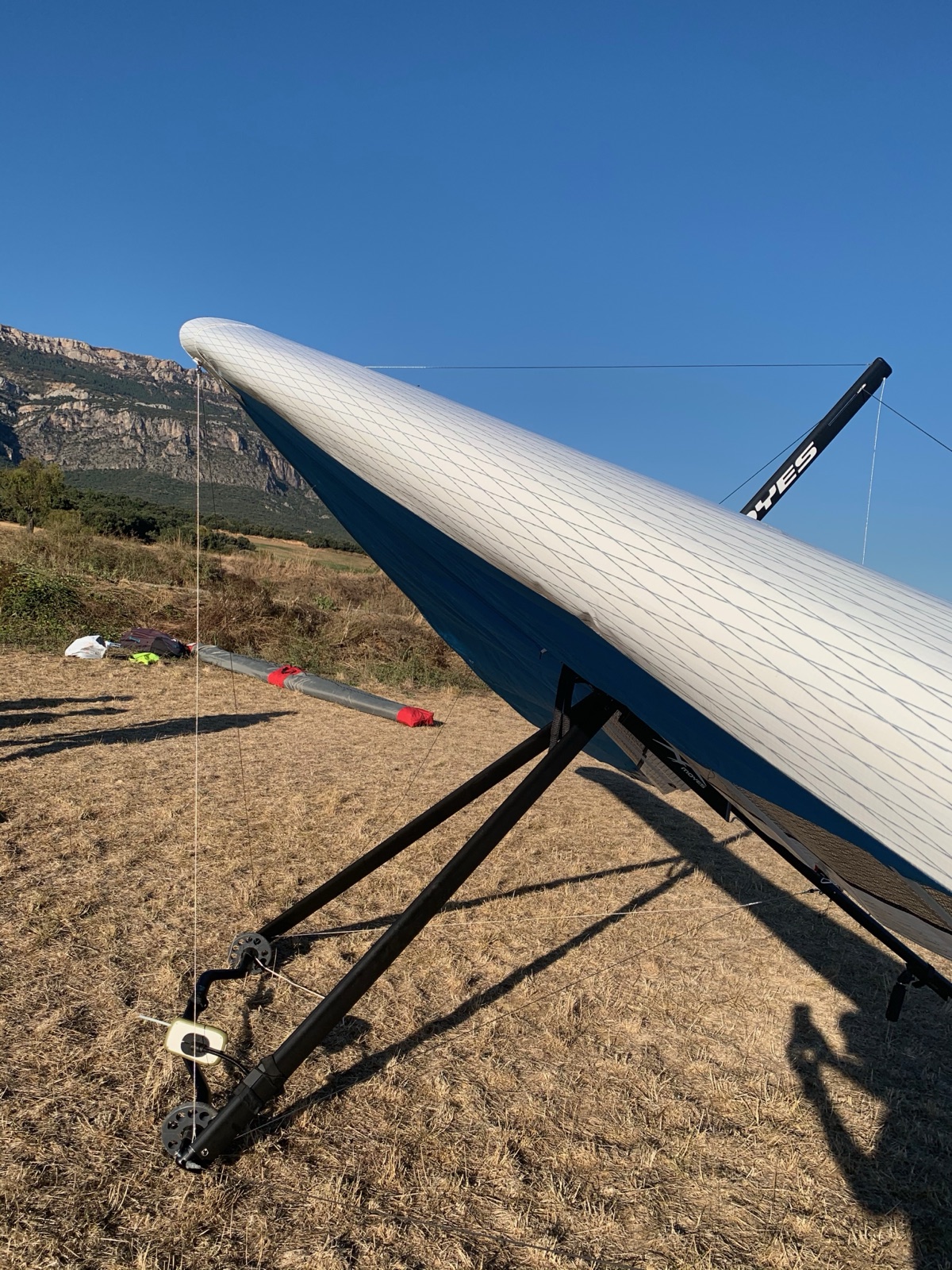 Gecko signature on sail
